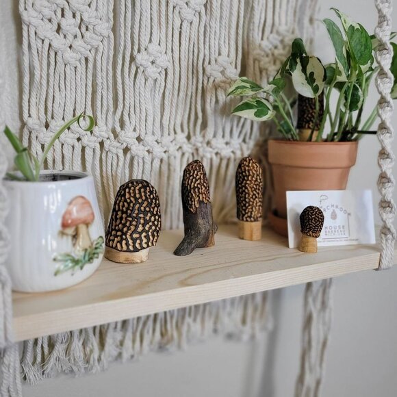 Mixed set of Carved Morel Merchrooms Variety Pack Plant Stake Decor Mushroom - Picture 11 of 11